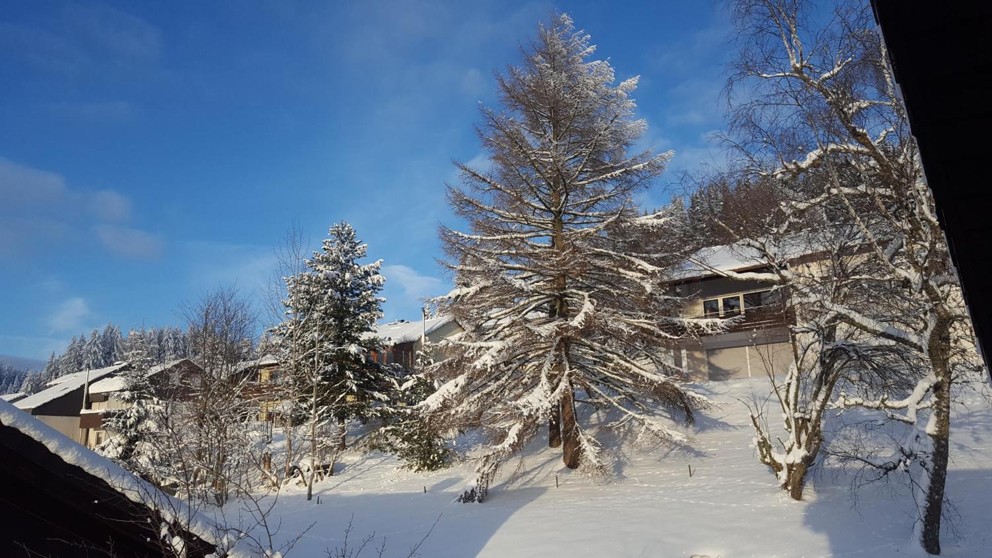 Ferienhaus Lucia, App.11 Schönwalde 外观 照片